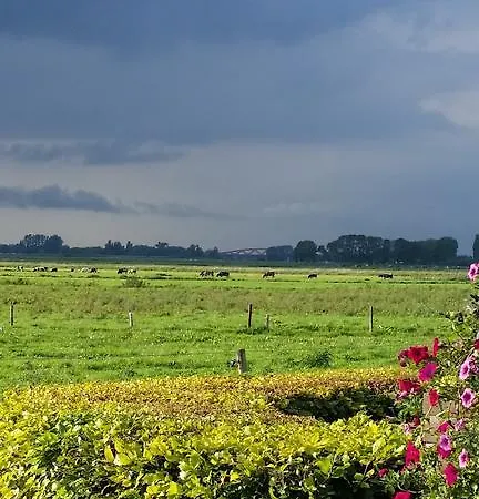 Oda ve Kahvaltı De Rivierduin 3*