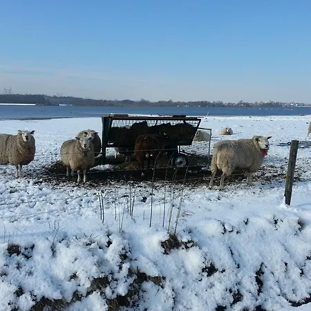 Frühstückspension De Rivierduin Hattem