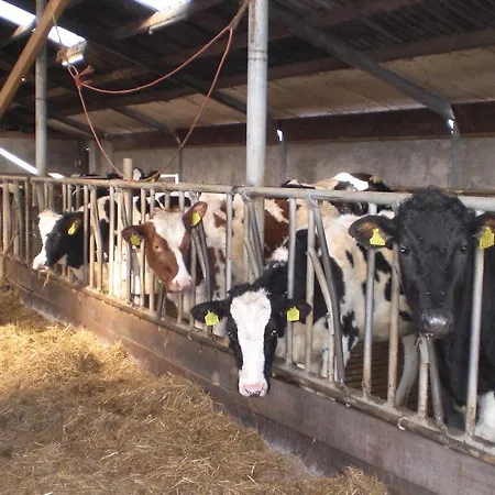 De Rivierduin Hattem