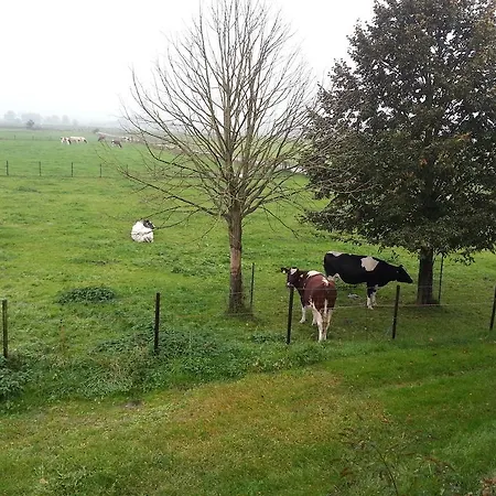 Frühstückspension De Rivierduin 3*