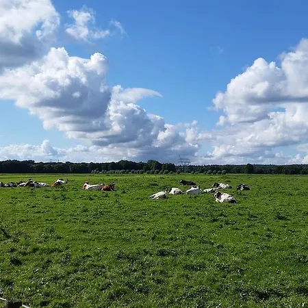 ベッド・アンド・ブレックファスト De Rivierduin ハッテム