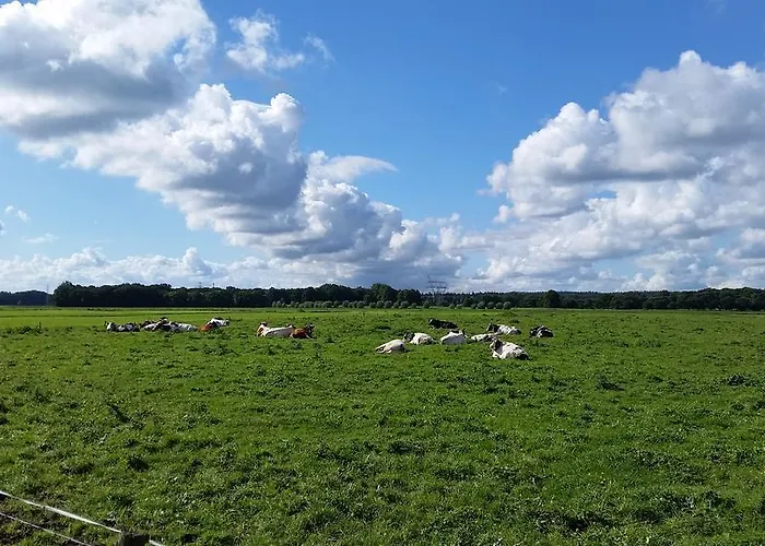 Oda ve Kahvaltı De Rivierduin Hattem