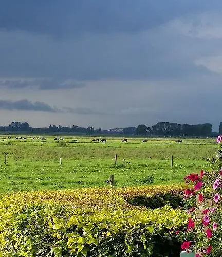 Oda ve Kahvaltı De Rivierduin 3*