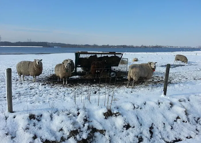 Oda ve Kahvaltı De Rivierduin Hattem
