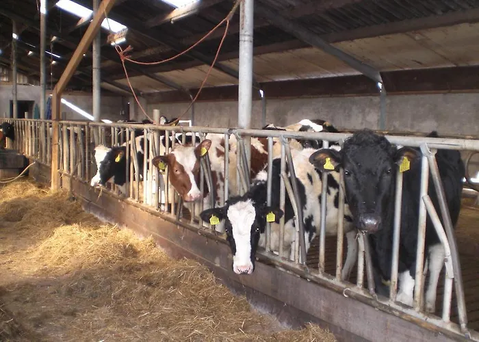 De Rivierduin Hattem