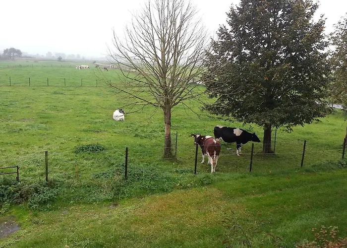 Oda ve Kahvaltı De Rivierduin 3*